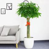 北京辦公室裝修裝飾設(shè)計(jì)辦公室裝修什么植物才適合做室外垂直綠化植物墻？