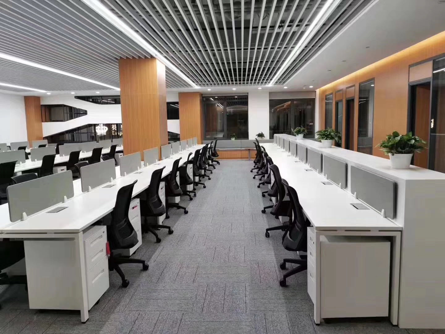 辦公室裝修設(shè)計(jì)花卉風(fēng)水講究：