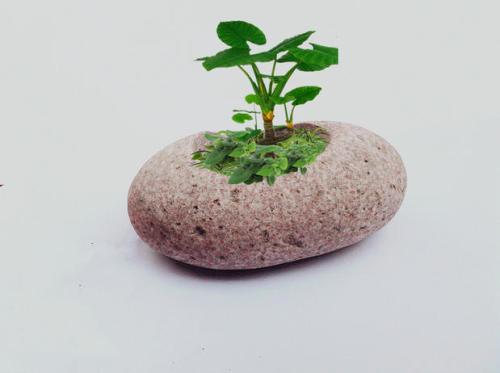 辦公室寫字樓裝修的風(fēng)水講究：